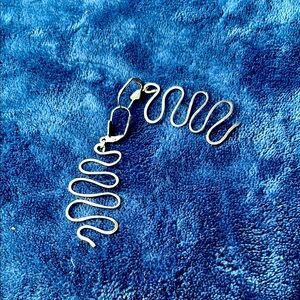 Silver Snake earrings